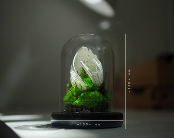 Preserved Moss Terrarium: The Life Forms - Eden, Biomorphic Sculptural Organic Structure ZERO Moss Terrarium by TerraLiving