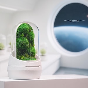 Preserved Moss Terrarium: The Time Capsule II - S, ZERO Moss Terrarium, Minimalist Space-age Desk Decor by TerraLiving