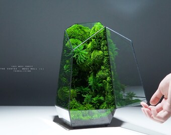 【ラプンツェル様用】MOSS / Sub Templum Luxury Preserved Moss Terrarium: the Time Fragment, ZERO