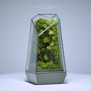 Live Moss Terrarium: The Vertex II Living Moss Wall, A Dormant Moss CryoMoss Mini ecocystem, living art by TerraLiving. image 5