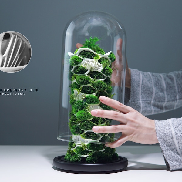TerraLiving - The Nova, a ZERO Moss botanical collection