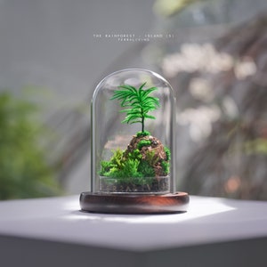 Preserved Moss Terrarium: The Rainforest - Island (S), ZERO Moss, Minimalist Modern Desk Decor by TerraLiving