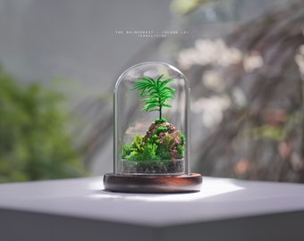 Preserved Moss Terrarium: The Rainforest - Island (S), ZERO Moss, Minimalist Modern Desk Decor by TerraLiving