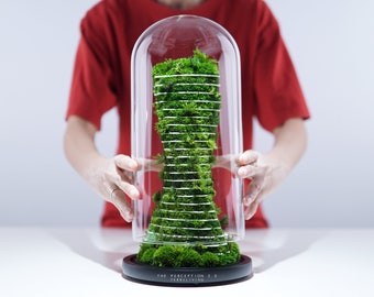 Preserved Moss Terrarium: The Perception 2.0, Biomorphic Parametric Botanical Sculpture, Desk Decor by TerraLiving