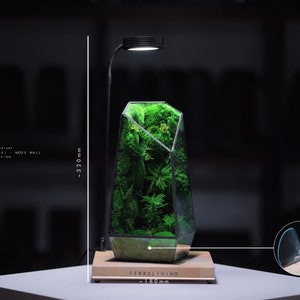 Preserved Moss Terrarium: The Vertex ZERO S Pure Moss Wall, ZERO Moss Geometric Terrarium, Minimalist Desk Decor by TerraLiving image 4