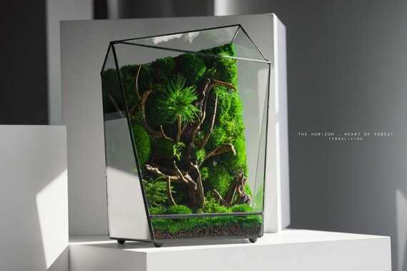 Vertex ZERO Pure Moss Wall Terrarium - Terrarium Creations