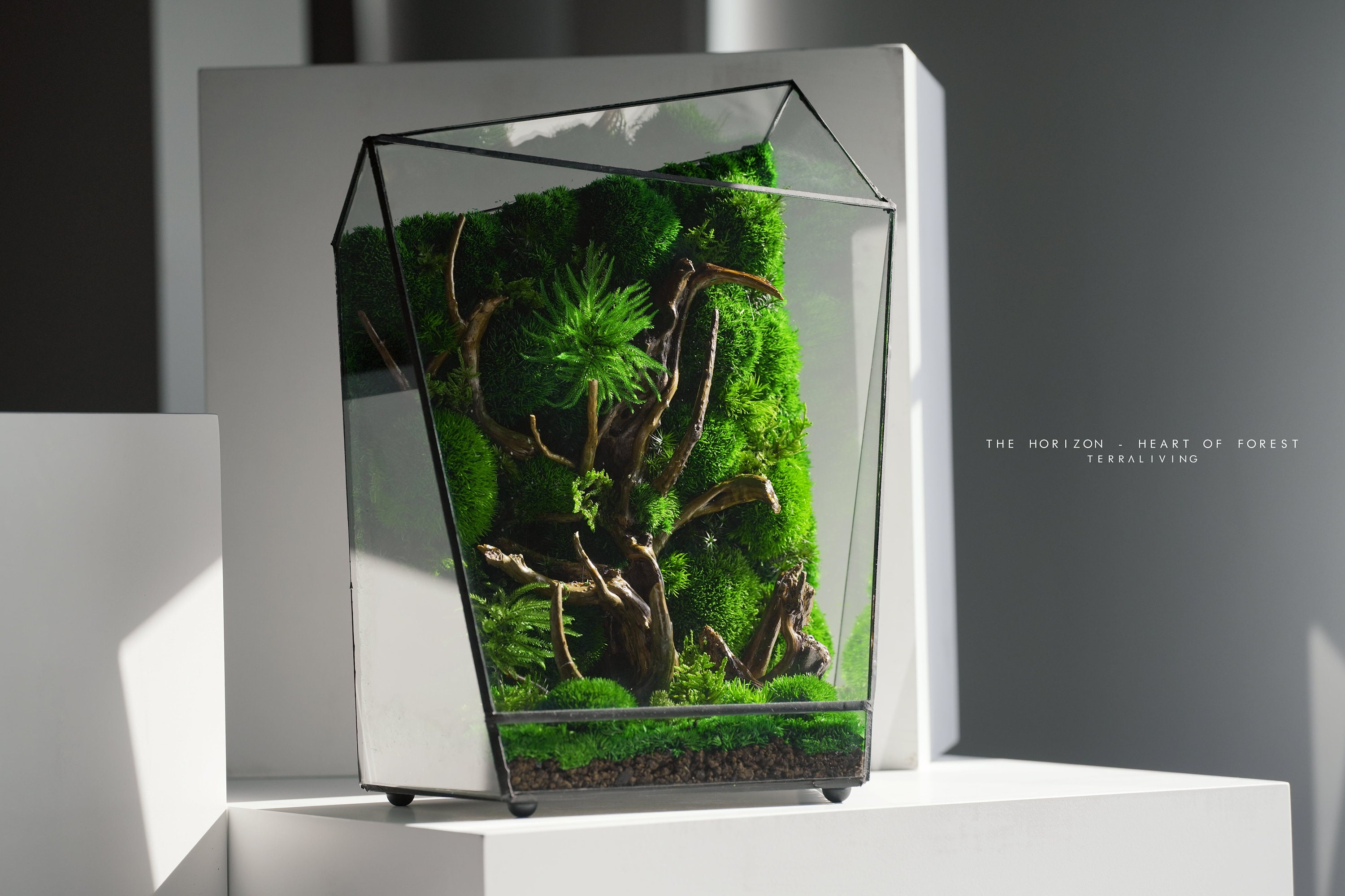 The Nova Heart of Forest, ZERO Preserved Moss Terrarium, Futuristic  Geometric Terrarium by Terraliving 