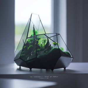 Luxury Preserved Moss Terrarium: 2024 Pre-order, The Terragon - X Heart of Forest, TerraLiving ZERO Moss Botanical Sculpture