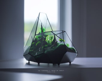 May include: A geometric glass terrarium with a black metal frame, filled with green moss, small plants, and a piece of driftwood. The terrarium is sitting on a white surface. The text "THE TERRARIUM X - HEART OF FOREST" is printed below the terrarium.