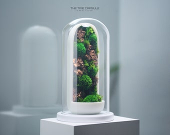 Preserved Moss Terrarium: The Time Capsule - Natural Moss Wall, ZERO Moss Terrarium, Minimalist Sci-fi Inspired Desk Decor by TerraLiving