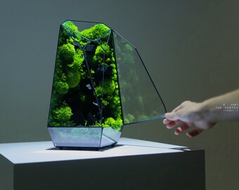 TerraLiving terrarium brings nature to our spaces : DesignWanted