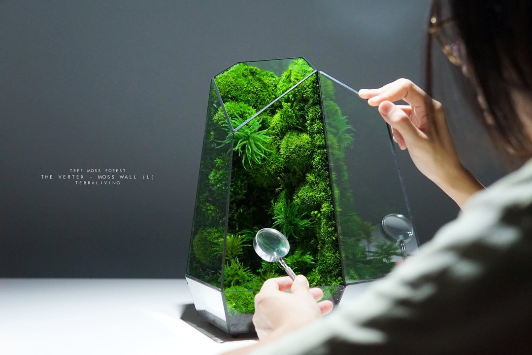 TerraLiving Preserved Moss Terrariums - Terrarium Creations