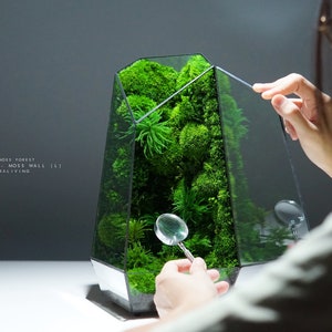 Preserved Moss Terrarium: The Vertex ZERO (L) - Tree Moss Forest, Geometric Terrarium, Desk Decor by TerraLiving
