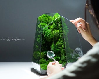 Preserved Moss Terrarium: The Vertex ZERO (L) - Tree Moss Forest, Geometric Terrarium, Desk Decor by TerraLiving