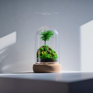 Preserved Moss Terrarium: The Time Capsule (S) - Island, Minimalist Desk Decor by TerraLiving