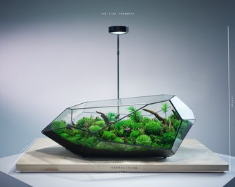 May include: A geometric glass terrarium with a black metal frame, filled with green moss and small plants. The terrarium is illuminated by a black light fixture on a silver stand. The text "THE TIME FRAGMENT" is visible above the light fixture. The text "TERRALIVING" is visible below the terrarium.