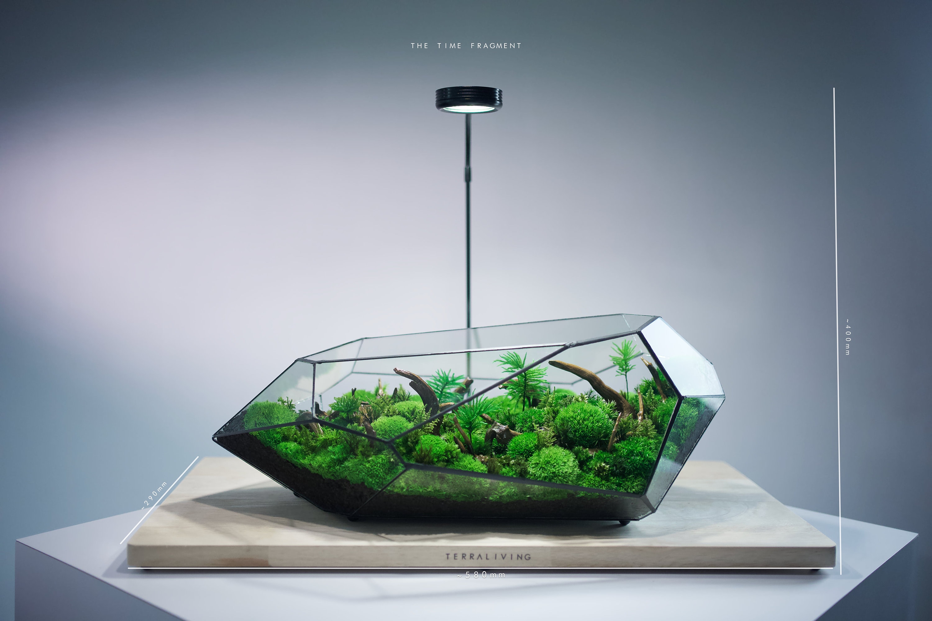 TerraLiving terrarium brings nature to our spaces : DesignWanted