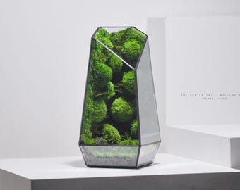 May include: A geometric glass terrarium with a black metal frame containing vibrant green preserved moss clusters. The glass vessel features an angular, tapered design and displays the text THE VERTEX (S) - ROLLING HILLS TERRALIVING.