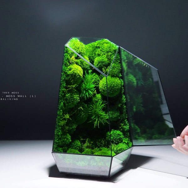 Preserved Moss Terrarium: The Vertex ZERO (L) - Pure Moss Wall, ZERO Moss Geometric Terrarium, Desk Decor by TerraLiving