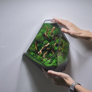 May include: A geometric terrarium with a black frame, filled with vibrant green moss, small plants, and wooden branches. The terrarium is mounted on a white wall. The text "THE CREATION OF..." is visible on the wall.