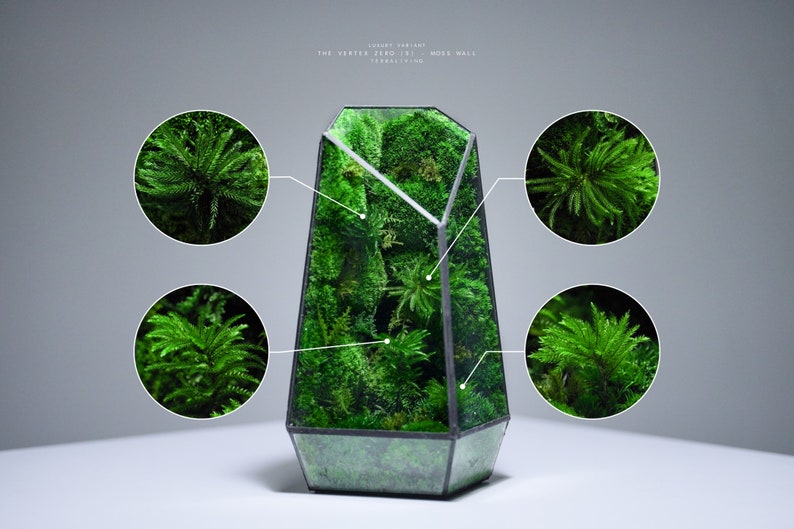 Preserved Moss Terrarium: The Vertex ZERO S Pure Moss Wall, ZERO Moss Geometric Terrarium, Minimalist Desk Decor by TerraLiving image 1