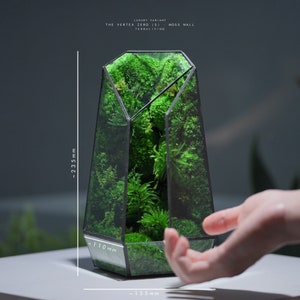 Preserved Moss Terrarium: The Vertex ZERO S Pure Moss Wall, ZERO Moss Geometric Terrarium, Minimalist Desk Decor by TerraLiving image 3