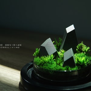 Ready to Fly: the Obsidian A Botanical Collection by - Etsy