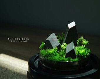 Ready to fly: The Obsidian - A botanical collection by TerraLiving, 3D Printed Preserved Moss Terrarium, Desk Decor by TerraLiving