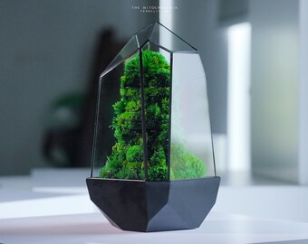 Preserved Moss Terrarium: The Mitochondria, Parametric Botanical Sculpture, ZERO Moss Geometric Terrarium, Desk Decor by TerraLiving