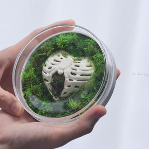 Preserved Moss Terrarium: The Moss Core (L) - Bone Heart, ZERO Moss Terrarium, 3D Printed Biomorphic Desk Decor by TerraLiving