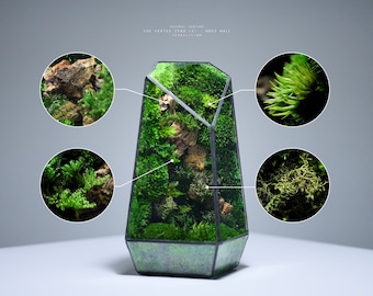 Preserved Moss Terrarium: The Vertex ZERO (S) - Pure Moss Wall, ZERO Moss Geometric Terrarium, Minimalist Desk Decor by TerraLiving