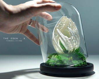 Preserved Moss Terrarium: The Life Forms, Eden - X, Biomorphic Sculptural Organic Structure ZERO Moss Terrarium collection by TerraLiving