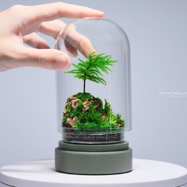 Preserved Moss Terrarium: The Time Capsule (S) - Island, ZERO Moss, Minimalist Modern Desk Decor by TerraLiving