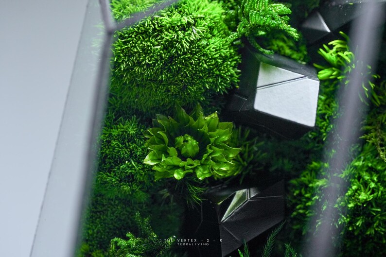 Luxury Preserved Moss Terrarium the Vertex Σ R, ZERO Moss Botanical