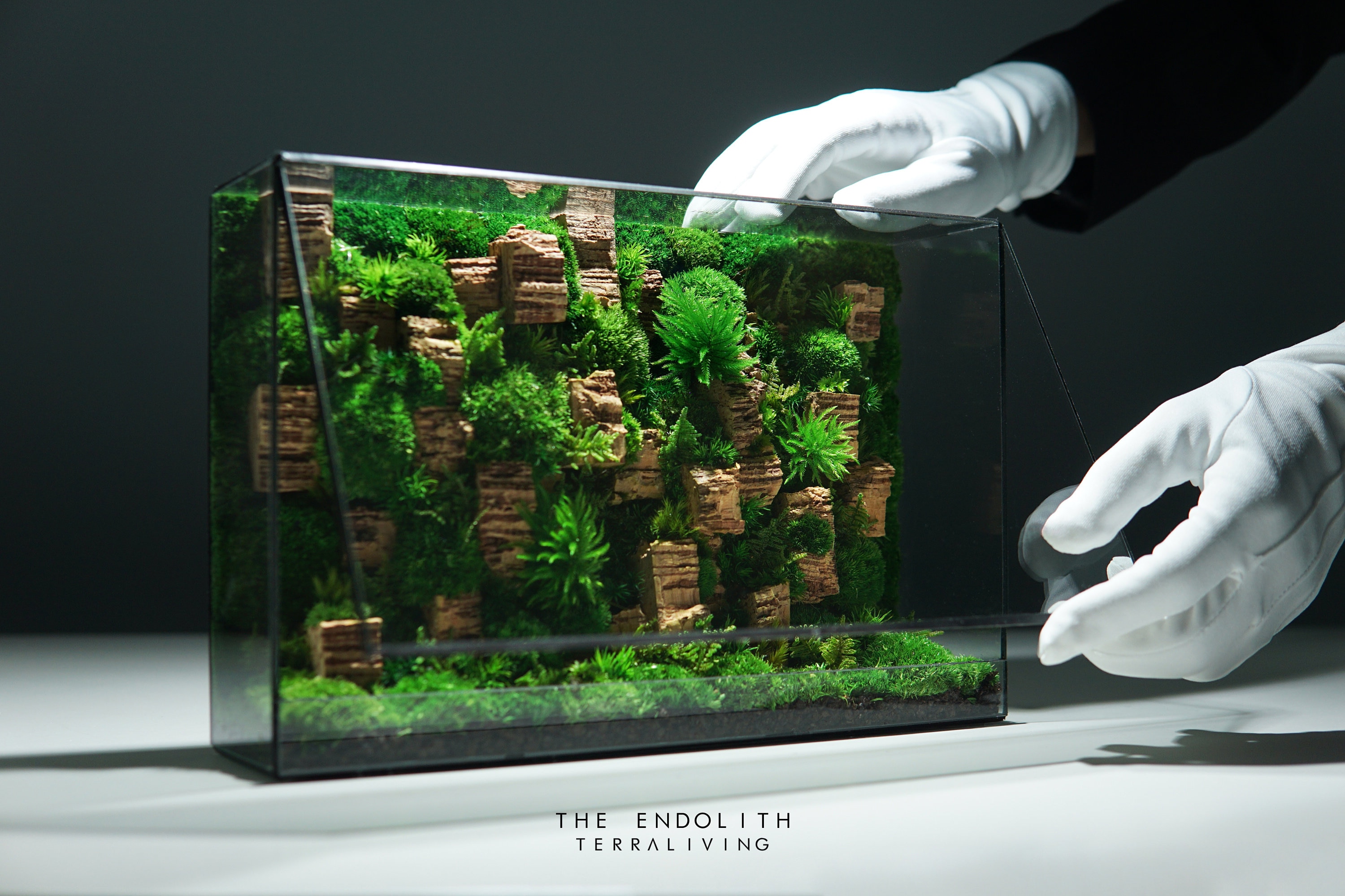 Java Moss Wall