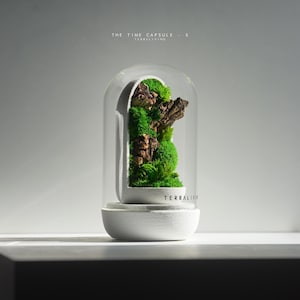 Preserved Moss Terrarium: The Time Capsule - S, ZERO Moss Terrarium, Minimalist Space-age Desk Decor by TerraLiving