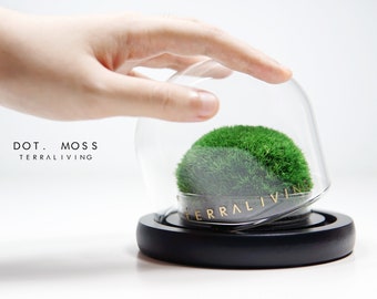 Ready to fly: Dot. Moss ZERO - A botanical sculpture collection by TerraLiving, Preserved Moss Terrarium