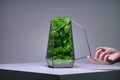 Preserved Moss Terrarium: The Best of Vertex (S) Collection, ZERO Moss Geometric Terrarium, Minimalist Desk Decor by TerraLiving