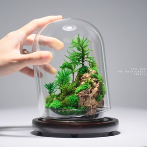 Preserved Moss Terrarium:  The Rainforest Island (M) - Tree Moss Island, Modern Desk Decor, a ZERO Moss Terrarium by TerraLiving