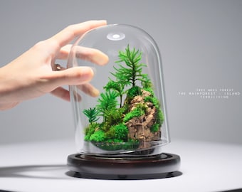 Puede incluir: Un terrario en miniatura con una escena de bosque bajo una cúpula de cristal. Presenta musgo verde, árboles pequeños y un paisaje rocoso. La base es de madera oscura y el texto dice "TREE MOSS FOREST".