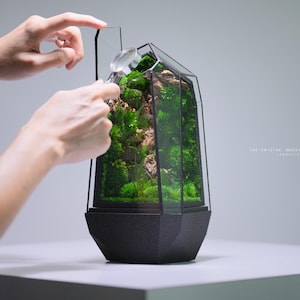 Preserved Moss Terrarium: The Cristae - Mossy Fern Forest, Unique Geometric Terrarium, Fernarium Desk Decor by TerraLiving