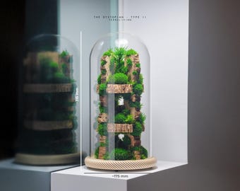 Preserved Moss Terrarium: The Dystopian, Botanical Sculpture in Glass Dome by TerraLiving
