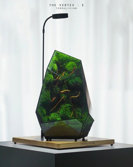 Colony X: Terrarium Moss Botanical Sculpture - Terrarium Creations