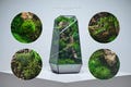 Preserved Moss Terrarium: The Best of Vertex (S) Collection, ZERO Moss Geometric Terrarium, Minimalist Desk Decor by TerraLiving