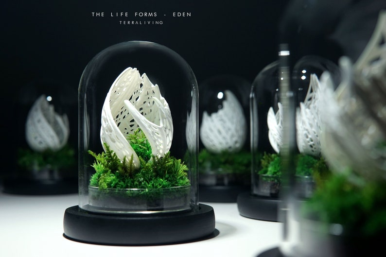3D printed with corn bio-polymer in TerraLiving, the white biomorphic organic sculpture, Eden, is housed within a glass dome with handcrafted wooden base, surrounded and planted with 100% real preserved moss.