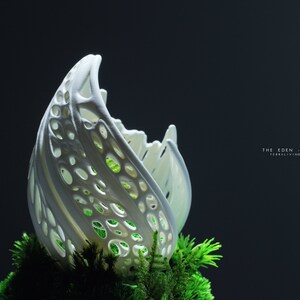 Preserved Moss Terrarium: The Life Forms Eden, Biomorphic Sculptural Organic Structure ZERO Moss Terrarium by TerraLiving image 8