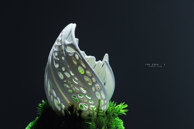 Preserved Moss Terrarium: The Life Forms Eden, Biomorphic Sculptural Organic Structure ZERO Moss Terrarium by TerraLiving image 8