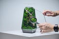 Preserved Moss Wall Terrarium: The Vertex (S) Signature Collection, Geometrical Glass Display by TerraLiving
