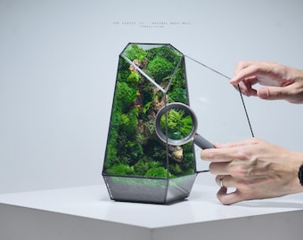 May include: A geometric glass terrarium with black metal framing containing green moss and wood elements. A magnifying glass is held over the interior, which features the text THE VERTEX 101 NATURAL MOSS WALL TERRA LIVING printed above.
