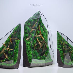 Bespoke: Luxury Preserved Moss Terrarium - The Triptych Body, TerraLiving ZERO Moss Botanical Art & Glass Sculpture